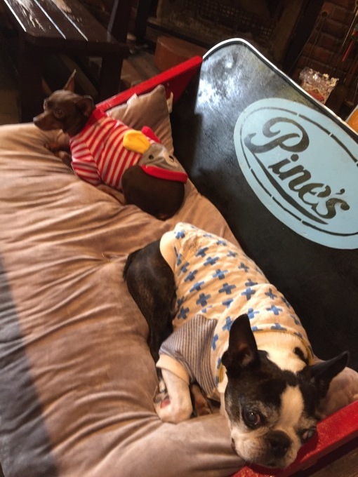 b0369239_11594385.jpeg