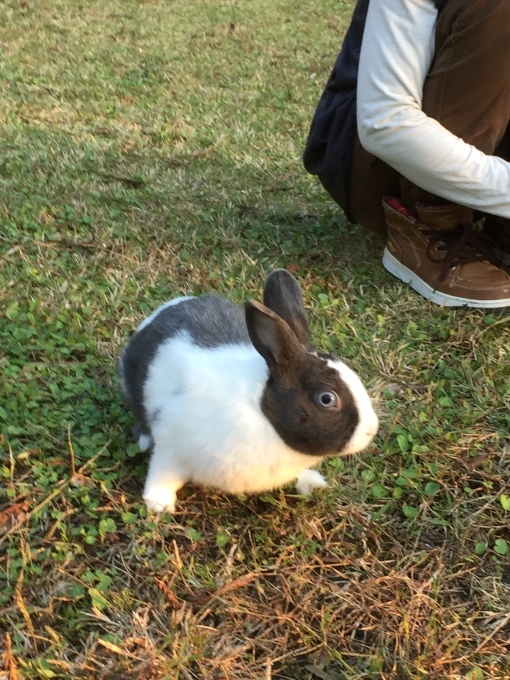 b0369239_12002957.jpeg