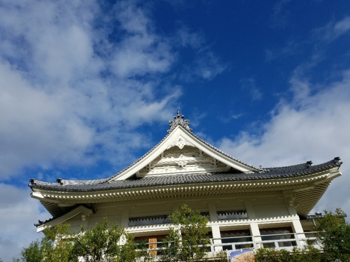 土日の最後の最後に青空_a0105740_09152954.jpg