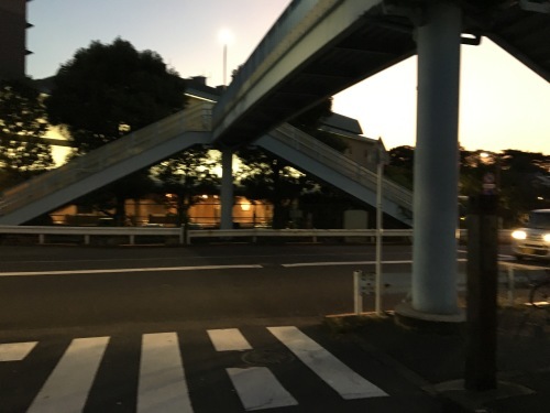 b0330040_00160375.jpeg