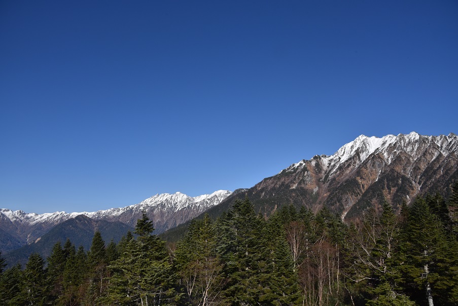 a0055650_14554910.jpg