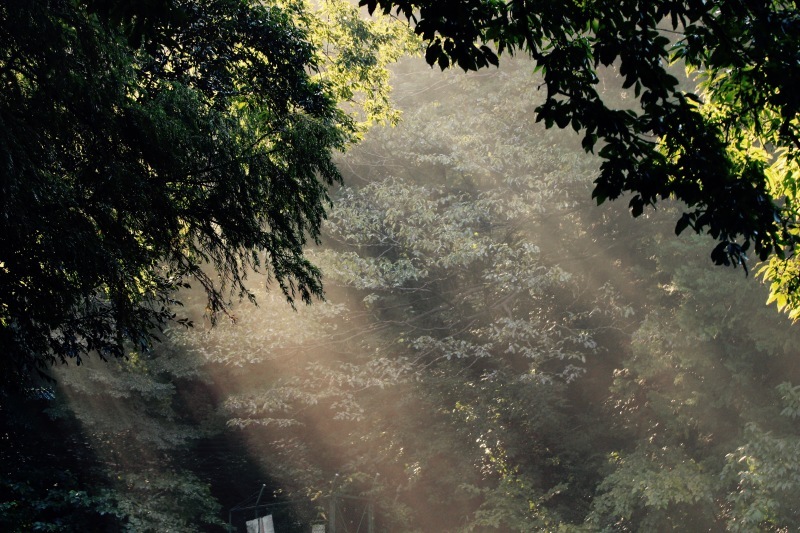 a0248459_14133464.jpg