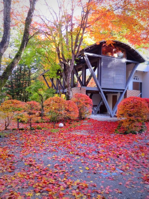 軽井沢の紅葉速報17 10月30日雲場池 軽井沢の紅葉もピーク ぴきょログ 軽井沢でぐーたら生活