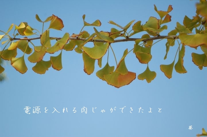 f0379160_19155221.jpg