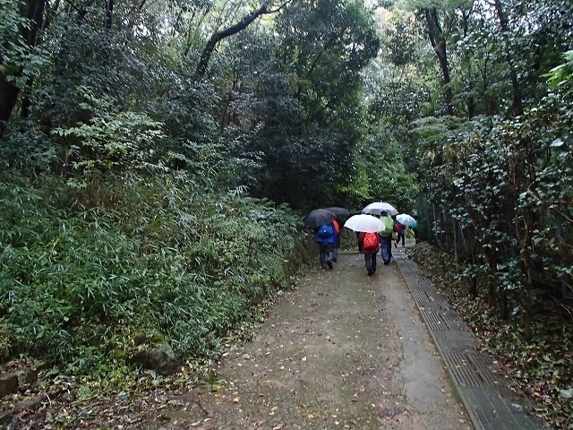 巡礼ウオーク仁和寺_b0044663_21042360.jpg