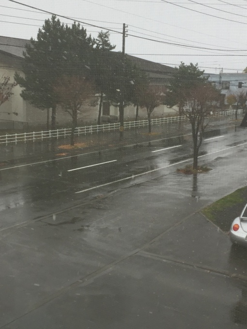 b0176571_14152601.jpeg