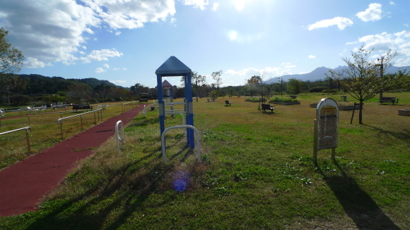 c0212083_19184126.jpg