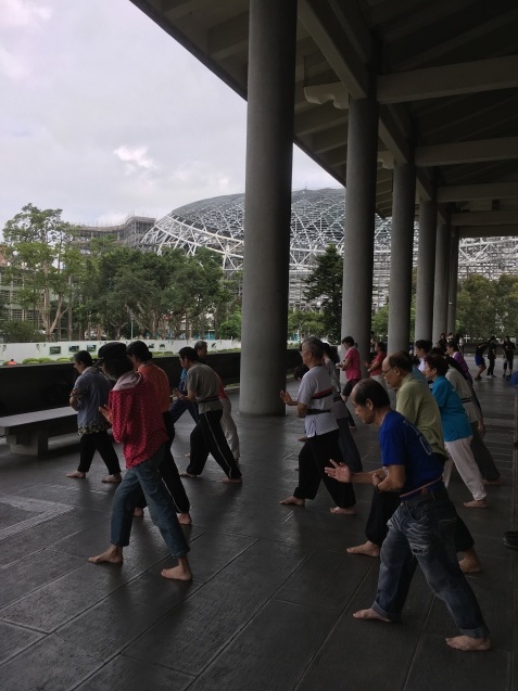 台湾ジヨコンQQ旅：day2②台湾の朝らしい光景とまさかの飛来物♪_e0206490_16054418.jpg