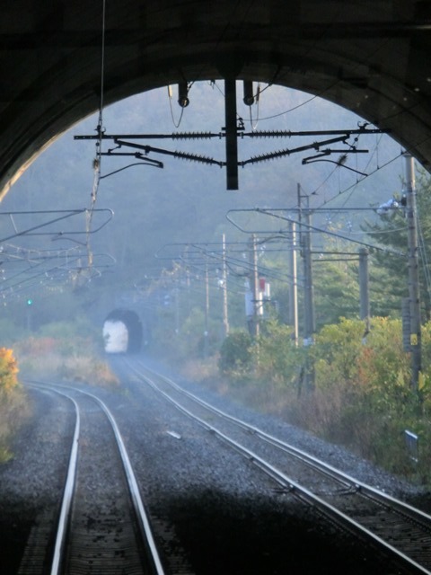 d0181492_23000191.jpg