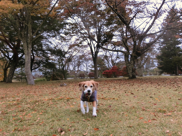 a0319693_7584567.jpg