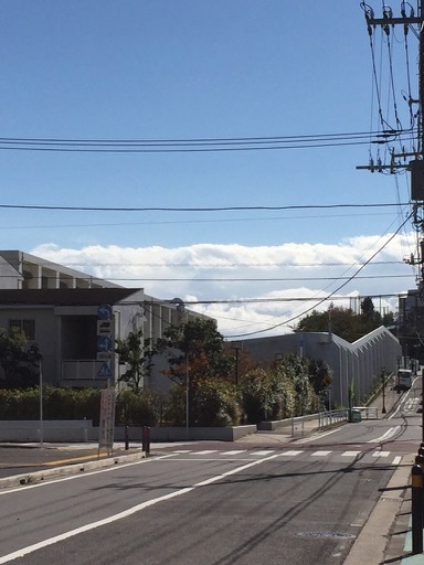 f0130894_20100972.jpg