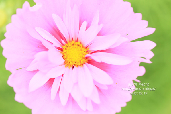 a0185598_22143621.jpg