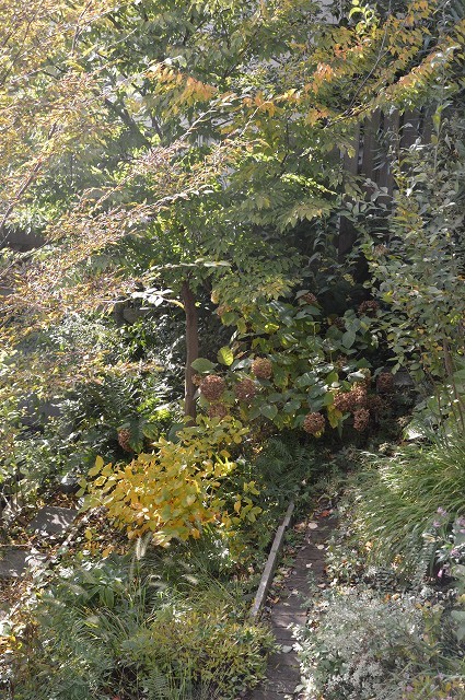 c0124100_18105306.jpg