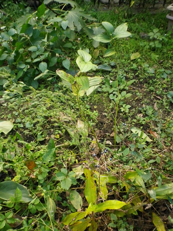 f0239100_00492786.jpg