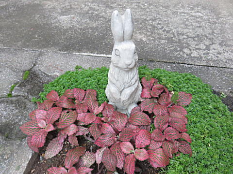 d0046702_07264389.jpg