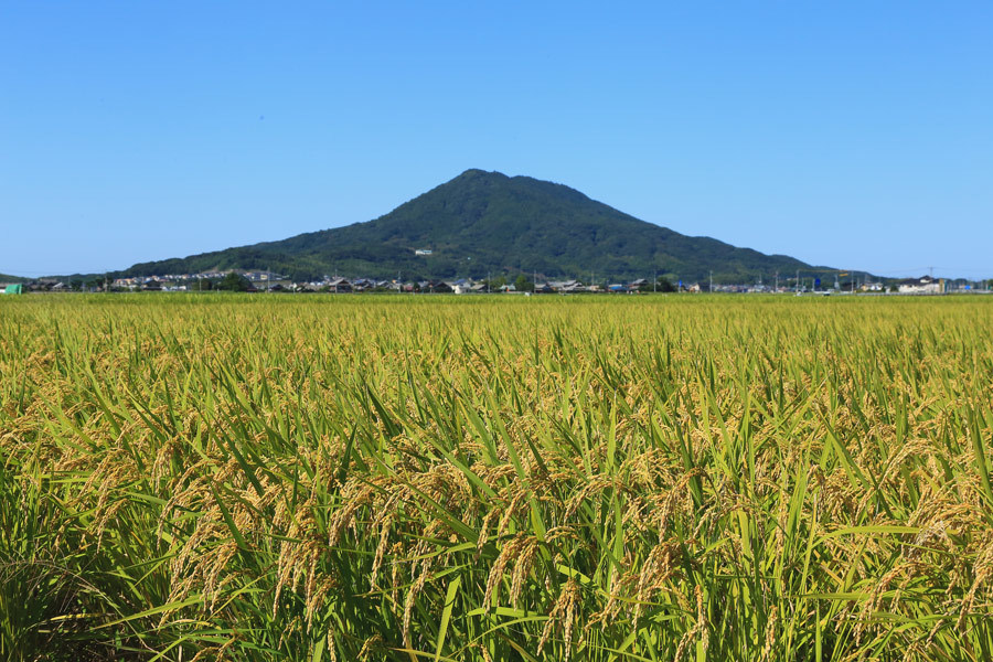 可也山(動画あり)_e0093903_17543955.jpg