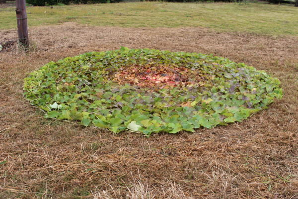 c0178009_14553511.jpg