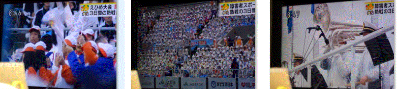f0231709_12021815.gif