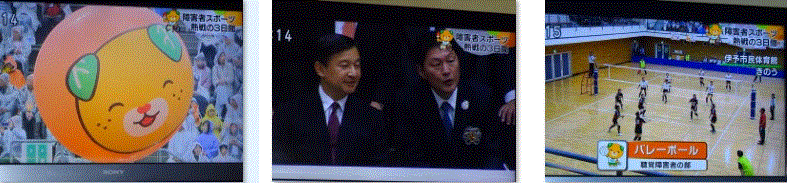 f0231709_12111052.gif