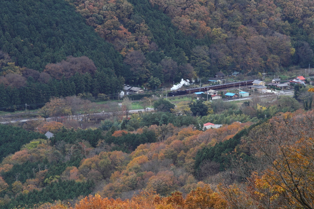 紅葉の波久礼発車 - 秩父・2016年 -_b0190710_23340458.jpg
