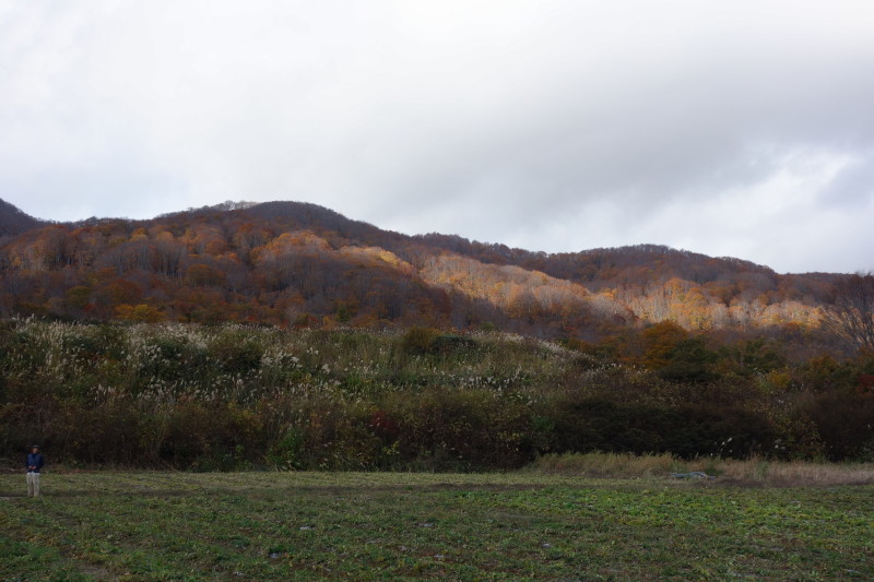 紅葉の鍋倉高原_e0053810_18153060.jpg