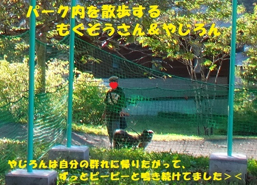 f0121712_08213004.jpg