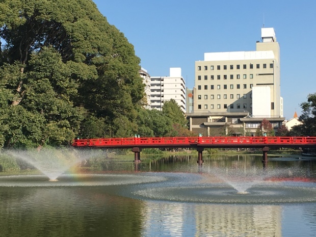 ラッキー11月 NO.561_c0102513_18031101.jpg