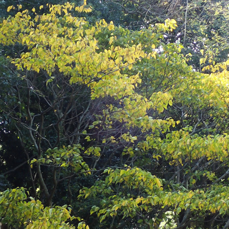 c0190915_19183707.jpg