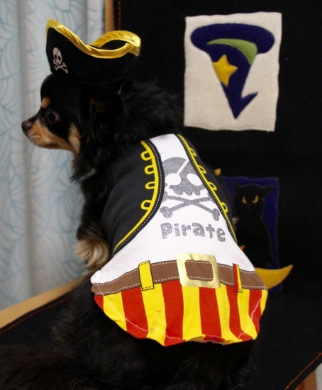 Happy Halloween !_f0197215_09045710.jpg