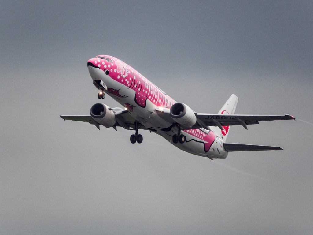 雨の関西国際空港_d0192516_11195845.jpg