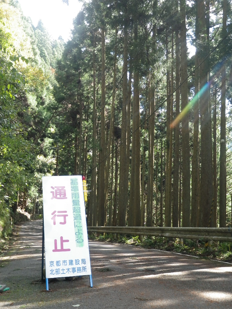 c0189724_2025067.jpg