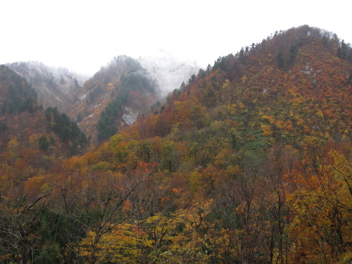 f0192924_20155362.jpg