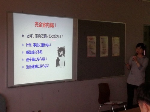 猫の飼い方教室|開催しました byにゃんとかしまい豊川_a0284626_06114630.jpg