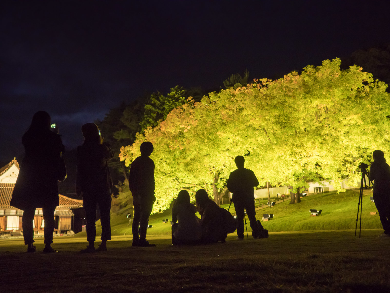 2017/10/29 閑谷学校ライトアップ （前編）_c0021726_15465791.jpg