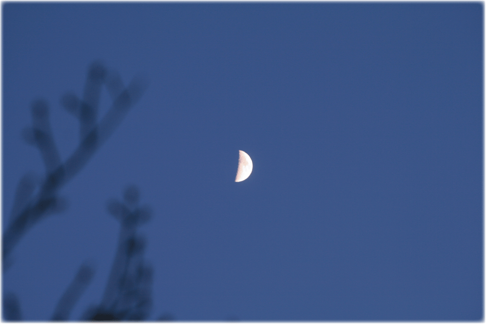 c0107829_06562928.gif