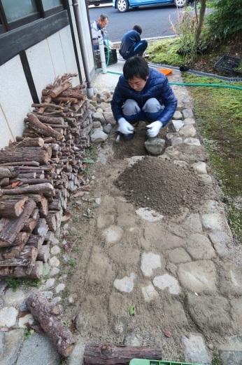 苔の育成と固定概念からの脱却。_f0076731_11381970.jpg
