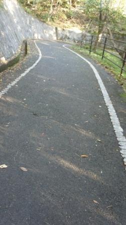 e0166734_20071839.jpg