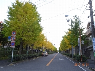 c0147935_20112685.jpg