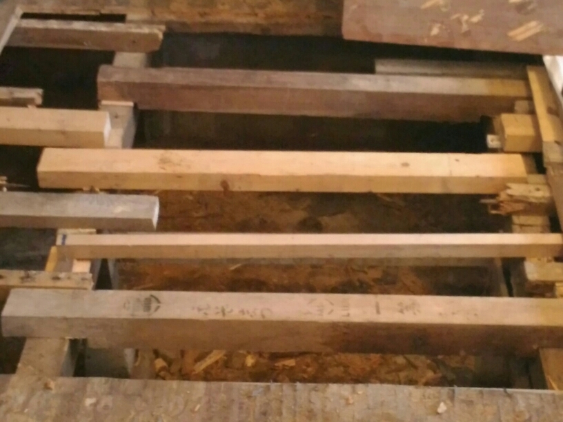 e0117136_13011358.jpg