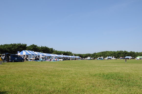 c0147241_20594869.jpg