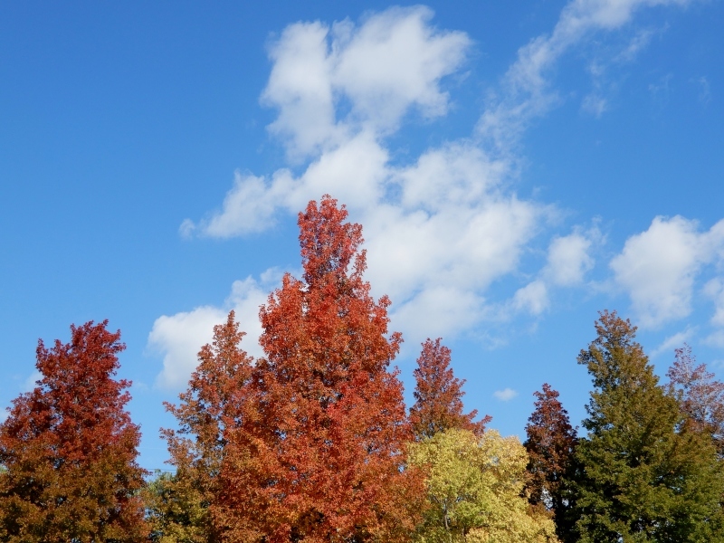 f0374041_16202331.jpg
