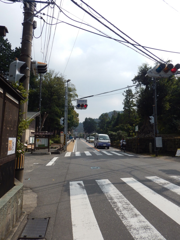 まずは普通に語ろう！『佐島 de 真蛸ラン』を！ その5（再開！）_b0136045_18232378.jpg