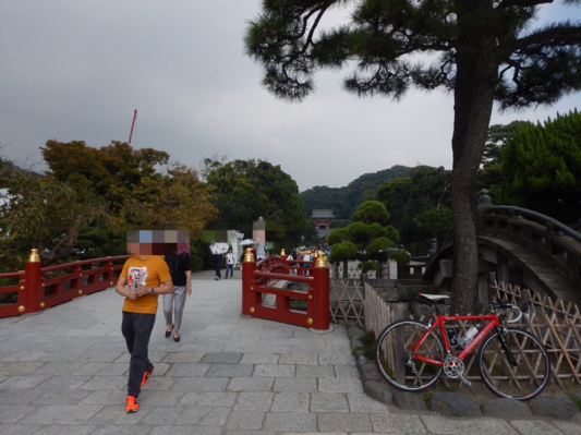 まずは普通に語ろう！『佐島 de 真蛸ラン』を！ その5（再開！）_b0136045_18572863.jpg