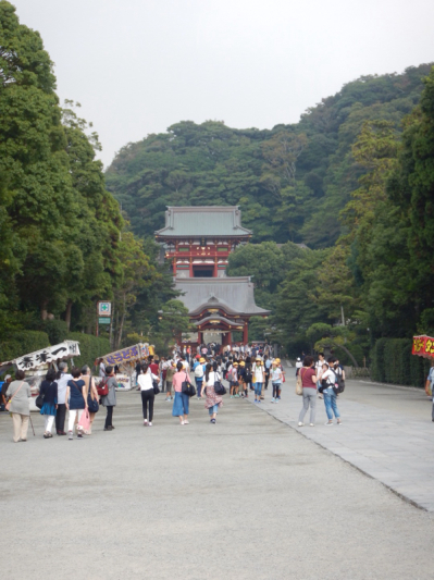 まずは普通に語ろう！『佐島 de 真蛸ラン』を！ その5（再開！）_b0136045_19001562.jpg