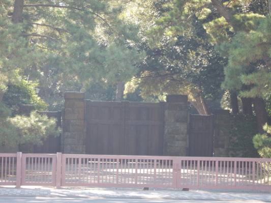 まずは普通に語ろう『佐島 de 真蛸ラン』を！ その6。_b0136045_21575519.jpg