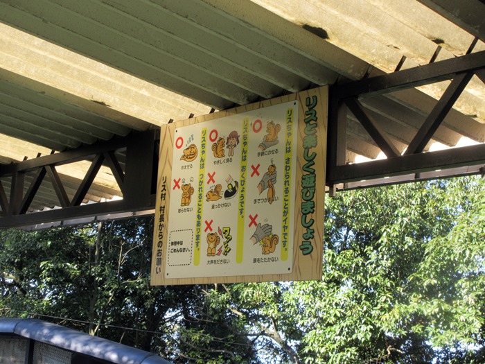 【金華山りす村と下りのロープウェイ】_b0009849_17163577.jpg