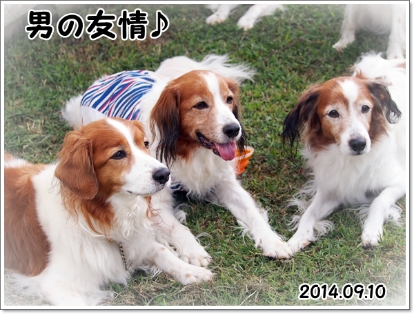 d0013149_00194107.jpg