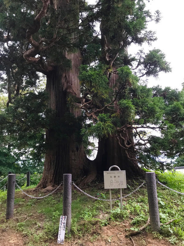 【 箟岳山箟峯寺（ ののだけさんこんぽうじ ）へ 】_b0367250_21302702.jpg