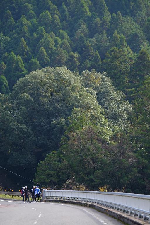 b0378653_23213825.jpg