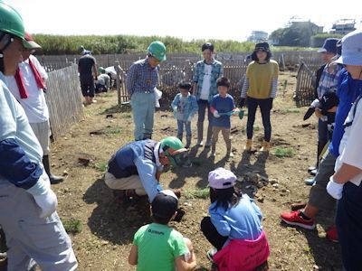 七ヶ浜町菖蒲田浜地区海岸林植樹と海岸遊びの旅_c0355655_14033684.jpg